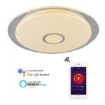 Smart Ceiling Wifi