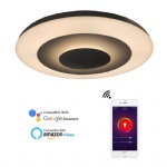 Smart Ceiling Wifi