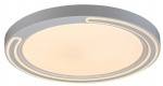 ACL505